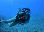 Hawaii Scuba divng 41