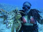 Hawaii Scuba divng 44
