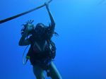 Hawaii Scuba divng 47