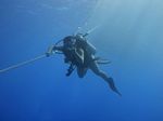 Hawaii Scuba divng 48