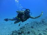 Hawaii Scuba divng 56