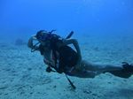 Hawaii Scuba divng 59