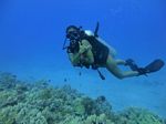 Hawaii Scuba divng 78