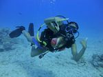 Hawaii Scuba divng 79