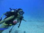 Hawaii Scuba divng 82