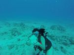 Hawaii Scuba divng 85