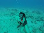 Hawaii Scuba divng 86