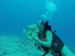 Hawaii Scuba divng 88