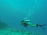 Hawaii Scuba divng 92