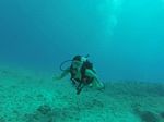 Hawaii Scuba divng 96