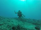 Hawaii Scuba divng 12