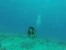 Hawaii Scuba divng 15