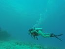 Hawaii Scuba divng 17