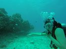 Hawaii Scuba divng 18