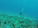 Hawaii Scuba divng 25