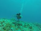 Hawaii Scuba divng 26