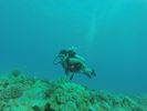 Hawaii Scuba divng 27