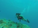 Hawaii Scuba divng 28