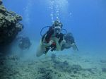 Hawaii Scuba divng 31