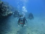 Hawaii Scuba divng 33