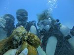 Hawaii Scuba divng 38