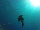 Hawaii Scuba divng 03