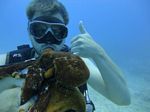 Hawaii Scuba divng 43