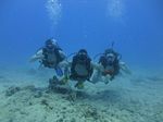 Hawaii Scuba divng 49