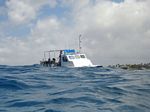 Hawaii Scuba divng 52