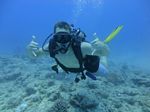 Hawaii Scuba divng 54