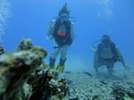 Hawaii Scuba divng 57