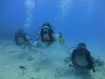 Hawaii Scuba divng 58