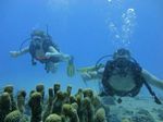 Hawaii Scuba divng 59