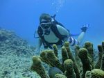 Hawaii Scuba divng 60