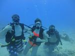 Hawaii Scuba divng 61