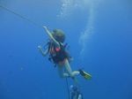 Hawaii Scuba divng 73