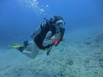 Hawaii Scuba divng 76