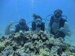 Hawaii Scuba divng 77