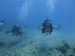 Hawaii Scuba divng 78