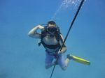 Hawaii Scuba divng 84