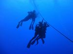 Hawaii Scuba divng 10