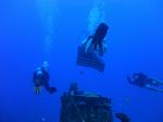 Hawaii Scuba divng 22