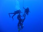 Hawaii Scuba divng 25