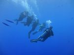 Hawaii Scuba divng 31