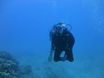 Hawaii Scuba divng 43