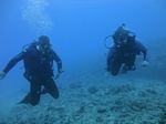 Hawaii Scuba divng 48