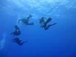 Hawaii Scuba divng 04