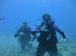 Hawaii Scuba divng 51