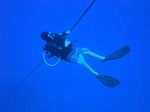 Hawaii Scuba divng 05