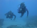 Hawaii Scuba divng 62